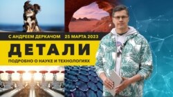 Роботы в водопроводе и «отряд» роверов в марсианских пещерах | «Детали»